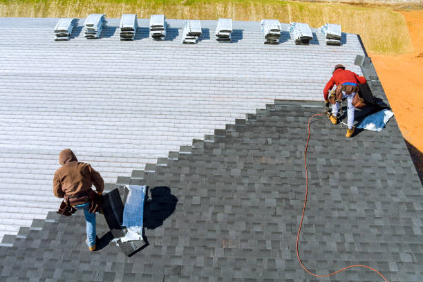 Sheet Metal Roofing in Big Lake, WA